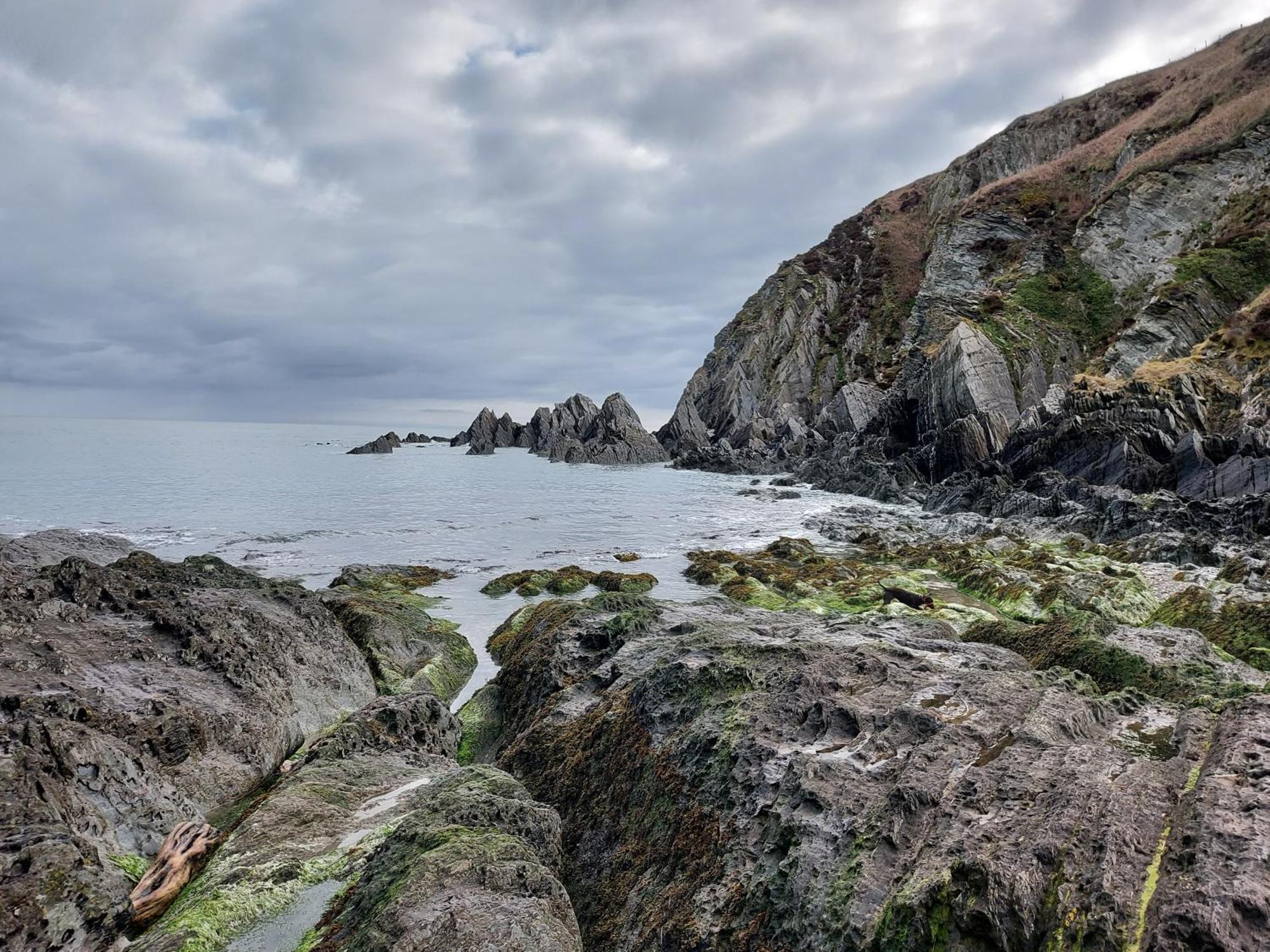 Flat 1 High Tide House, Mortehoe - Beautifully Designed Ground Floor Flat With Sea Views And Garden Exterior photo